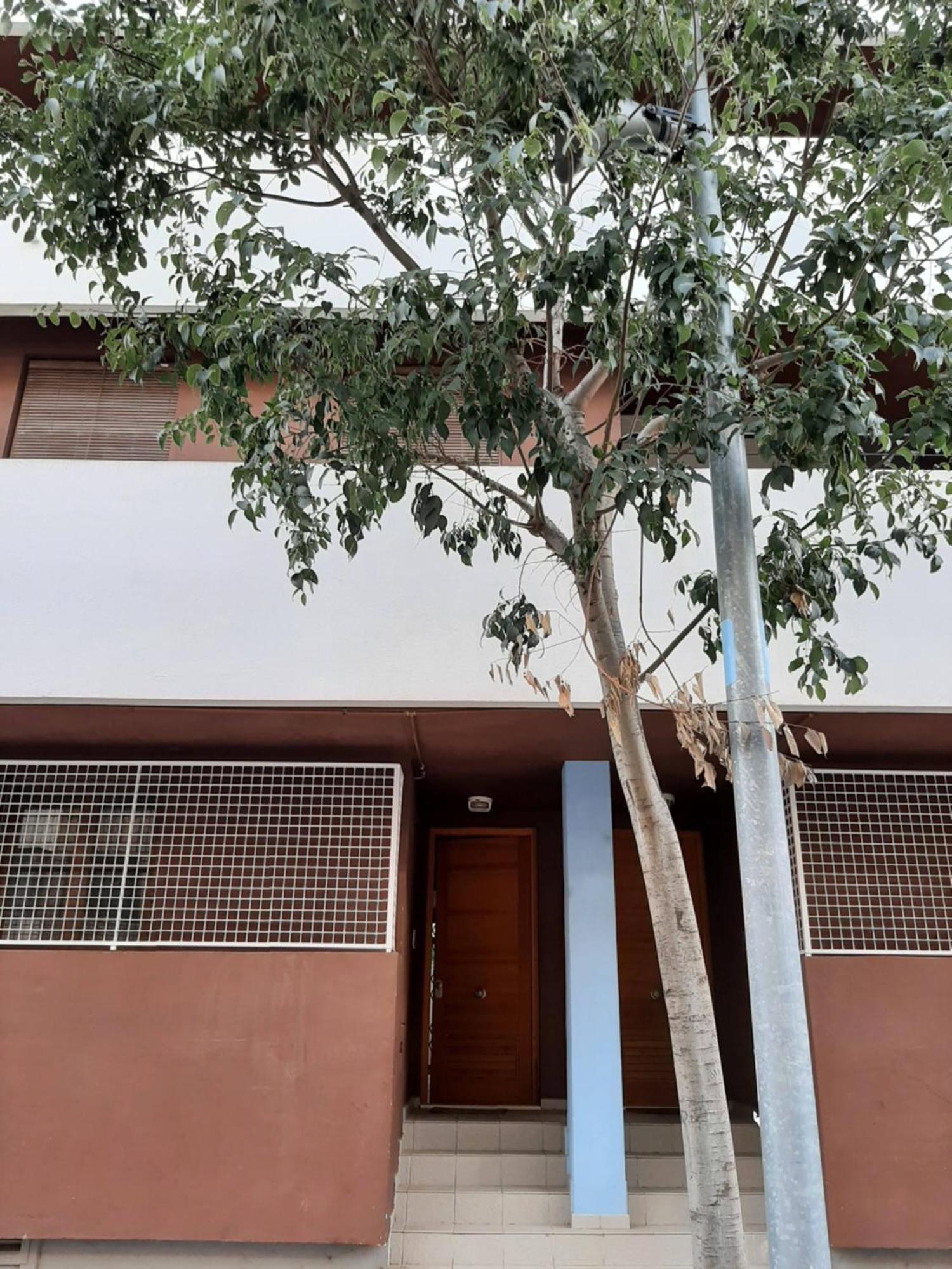 Casa Lliri Con Piscina En Massalfassar Valencia Lejlighed Eksteriør billede